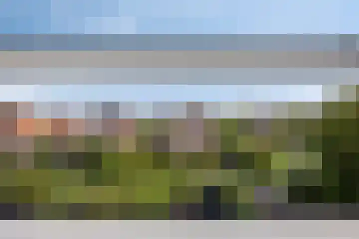 Singel 17 Stompetoren thumbnail 35