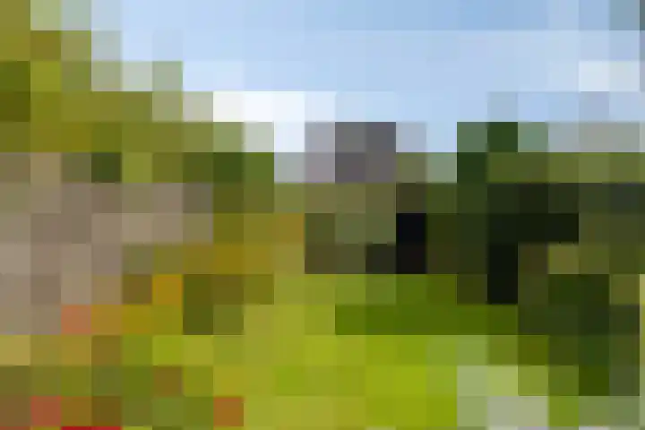 Singel 17 Stompetoren thumbnail 36