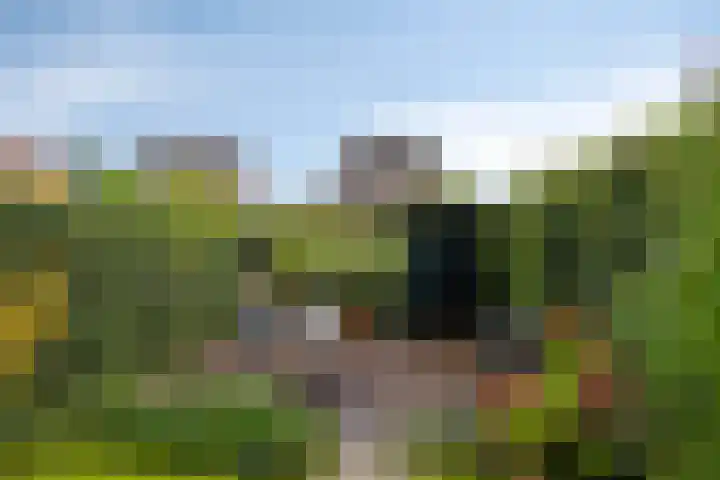 Singel 17 Stompetoren thumbnail 37