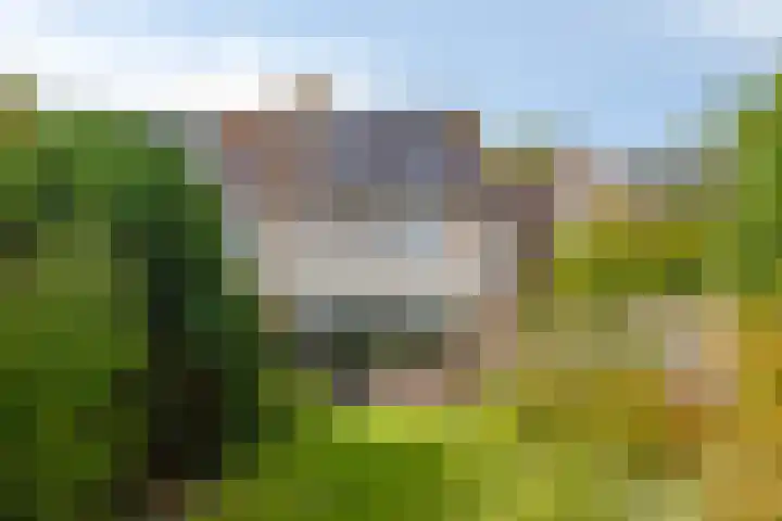 Singel 17 Stompetoren thumbnail 38