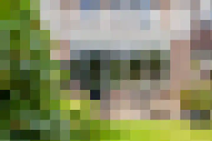 Singel 17 Stompetoren thumbnail 40