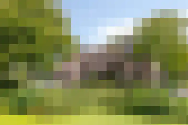 Singel 17 Stompetoren thumbnail 41