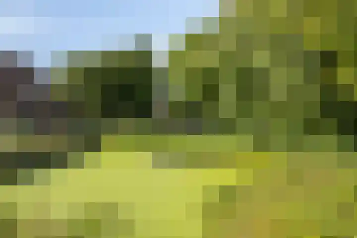 Singel 17 Stompetoren thumbnail 42