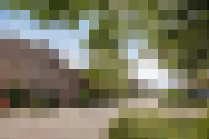 Singel 17 Stompetoren thumbnail 44
