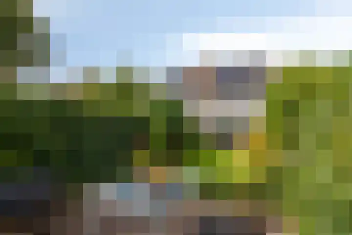 Singel 17 Stompetoren thumbnail 5