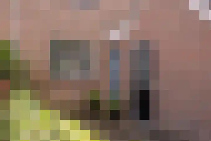 Singel 17 Stompetoren thumbnail 7