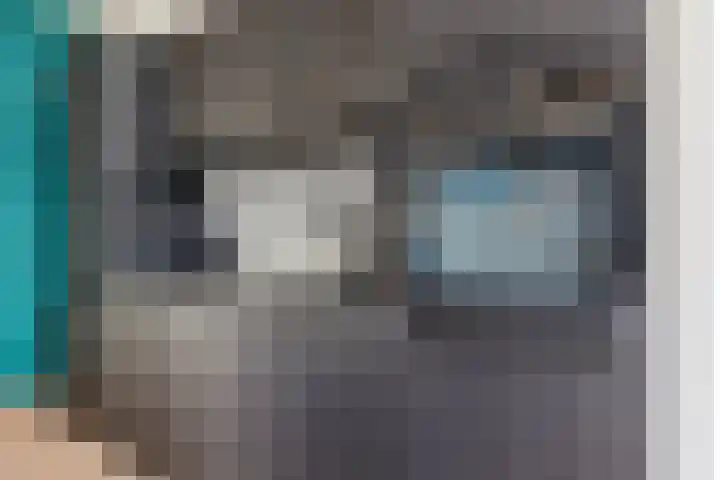 Singel 18 Sneek thumbnail 10