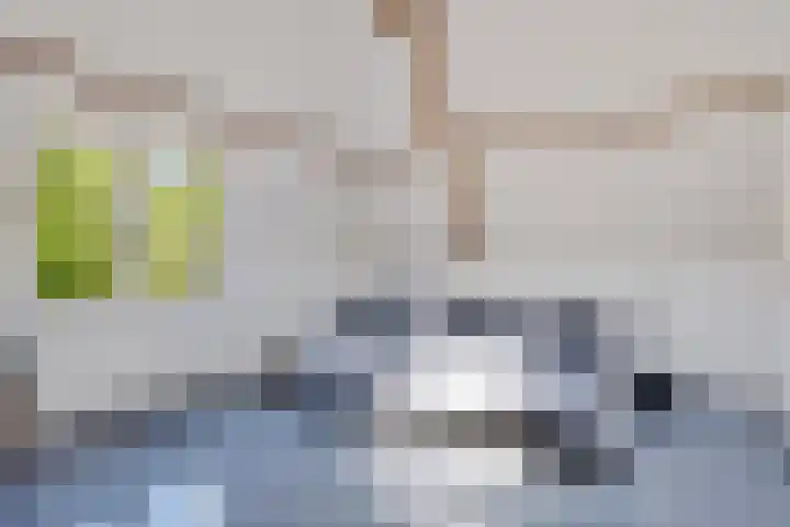 Singel 18 Sneek thumbnail 16