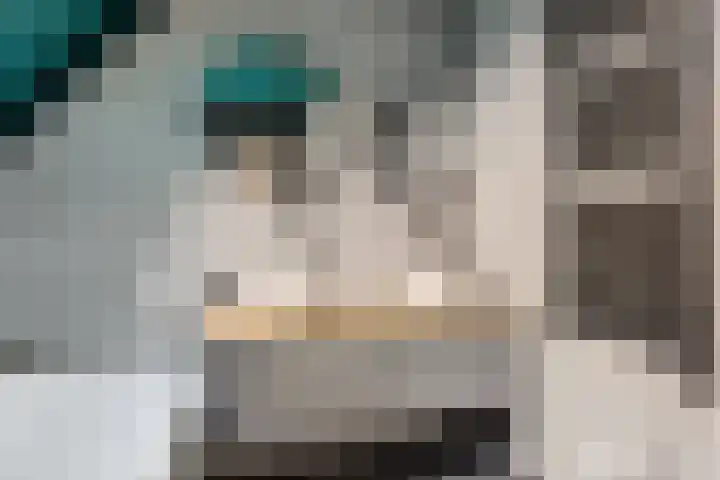 Singel 18 Sneek thumbnail 19