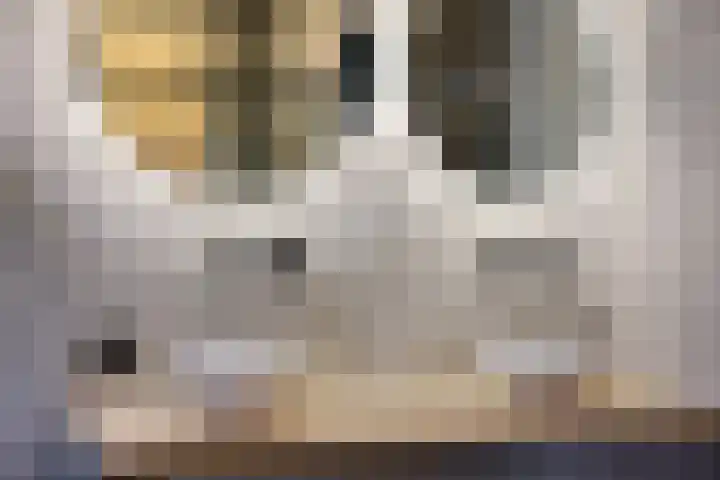 Singel 18 Sneek thumbnail 20