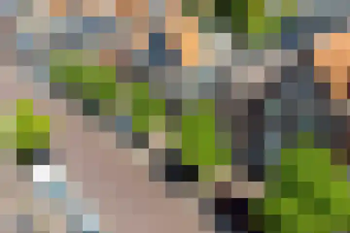 Singel 18 Sneek thumbnail 32