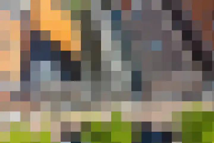 Singel 18 Sneek thumbnail 34