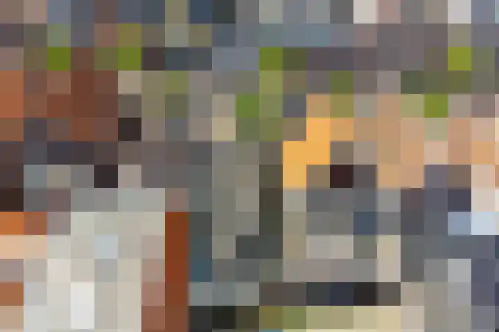 Singel 18 Sneek thumbnail 35