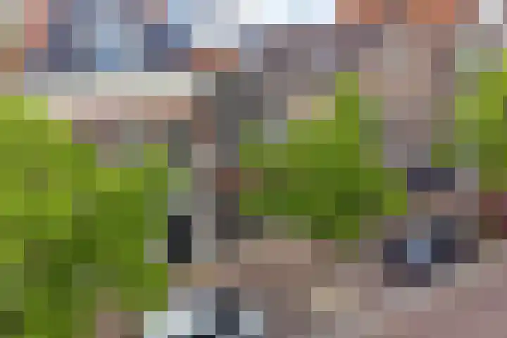 Singel 18 Sneek thumbnail 36