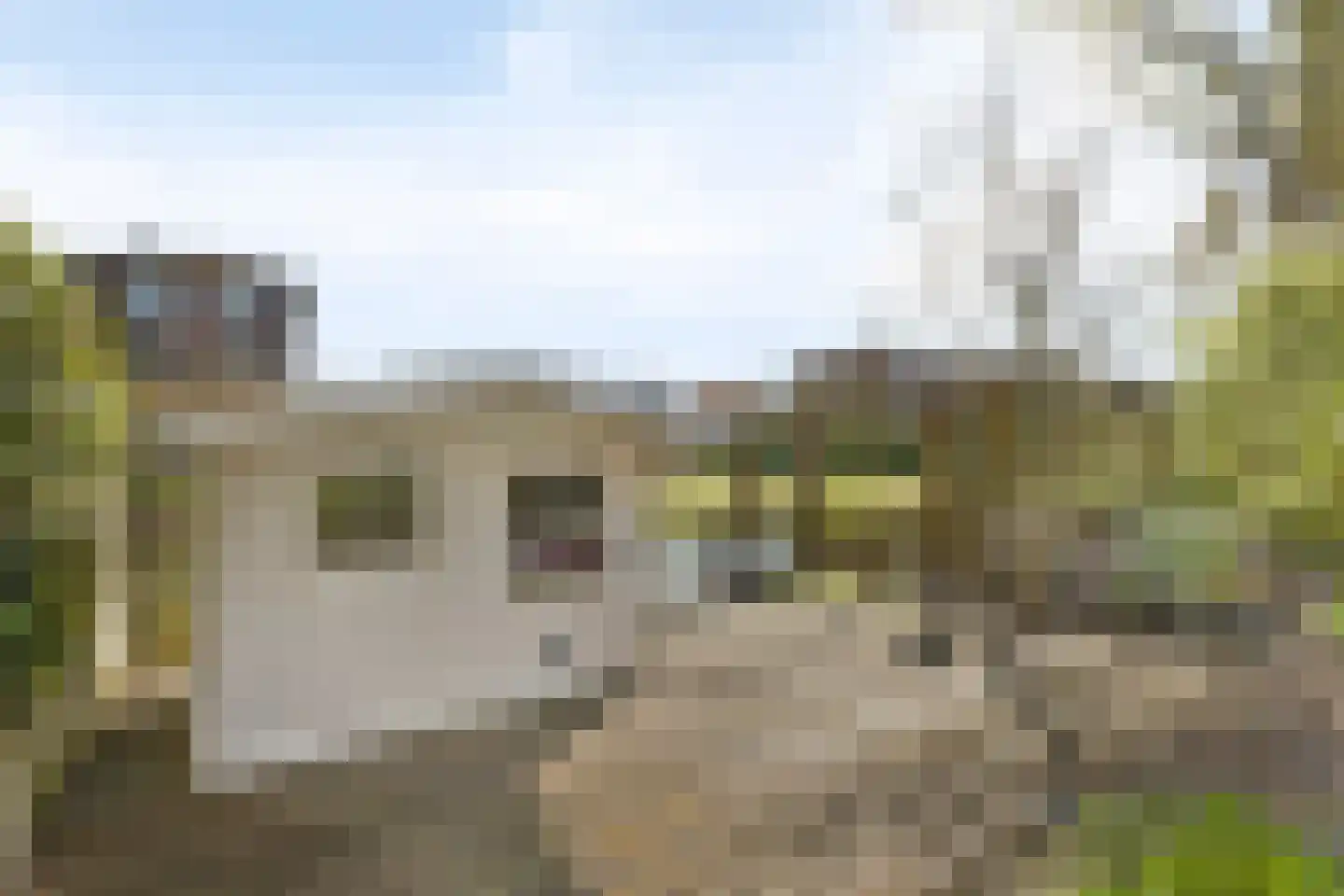 Singel 18 Stompetoren thumbnail 56