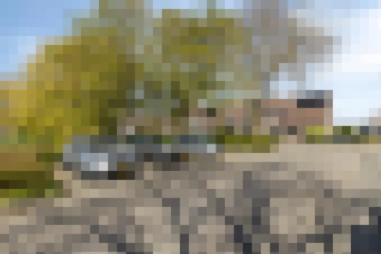 Singel 18 Stompetoren thumbnail 64