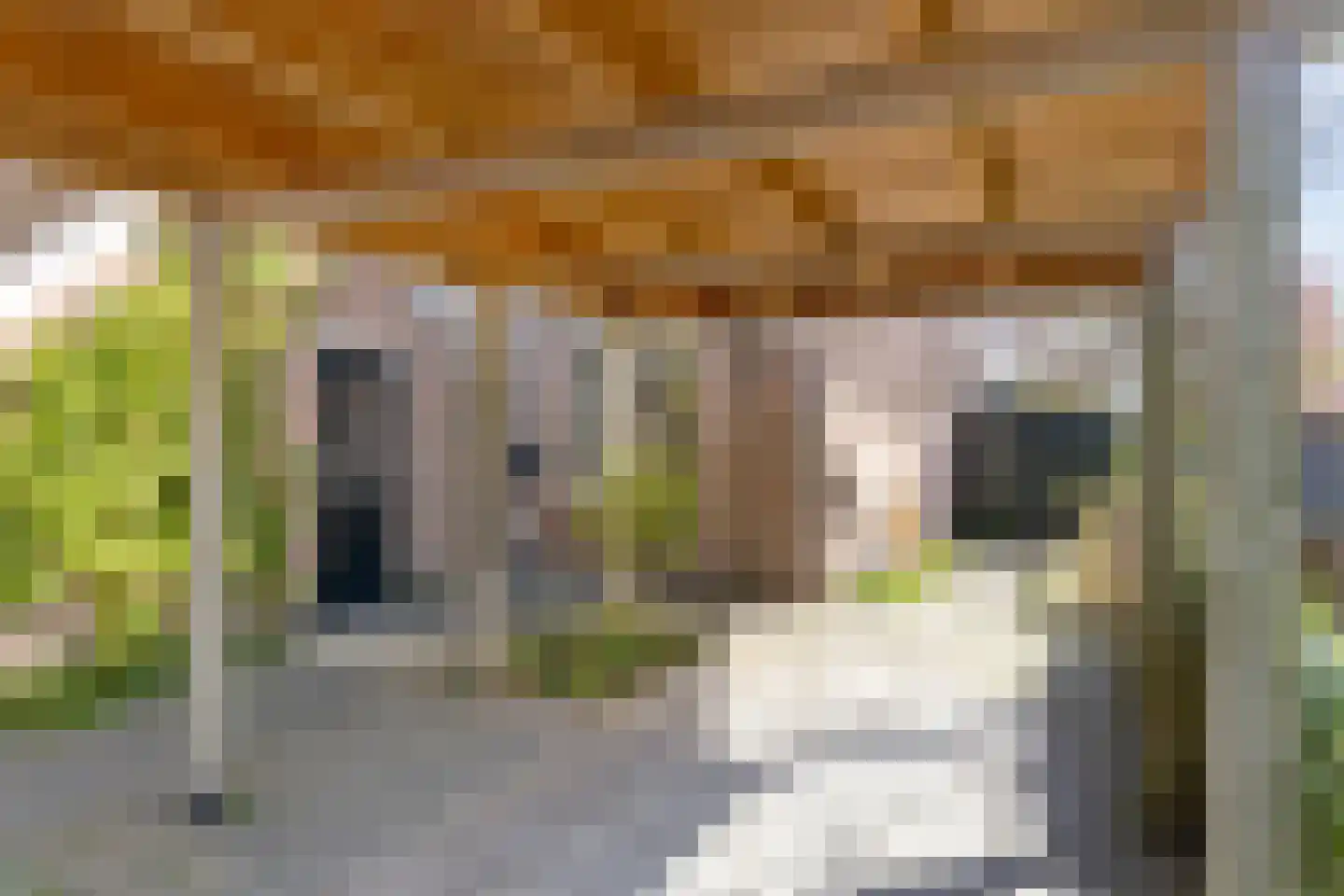 Singel 18 Stompetoren thumbnail 7