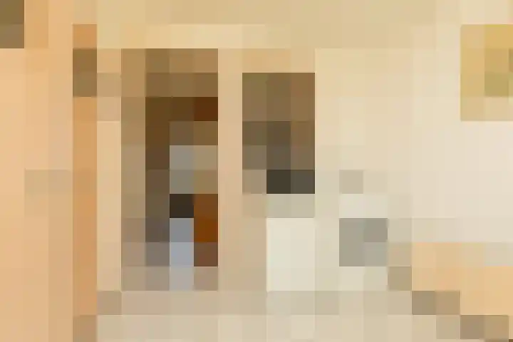 Singel 18 Tjerkwerd thumbnail 17