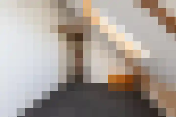 Singel 18 Tjerkwerd thumbnail 28