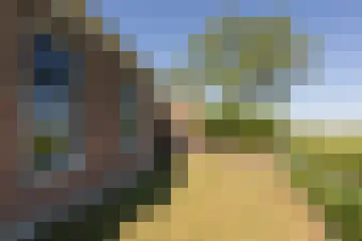 Singel 18 Tjerkwerd thumbnail 35