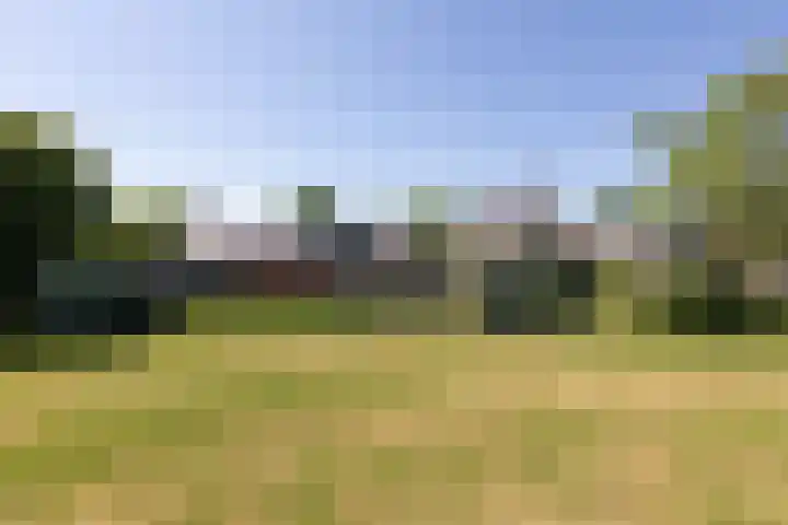 Singel 18 Tjerkwerd thumbnail 39