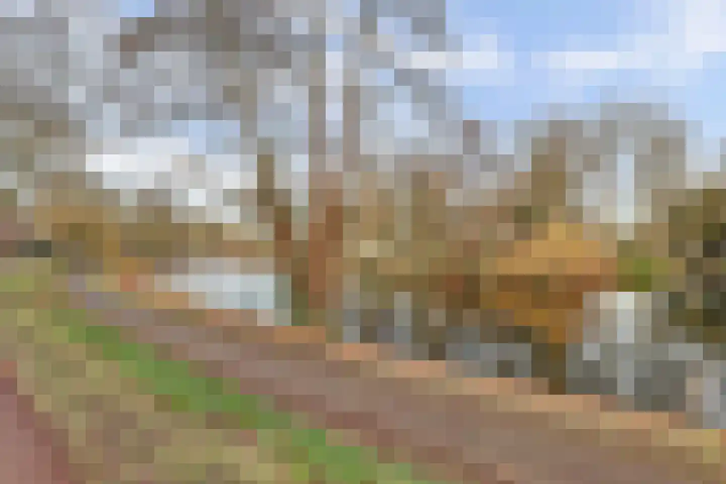 Singel 19 Deventer thumbnail 20
