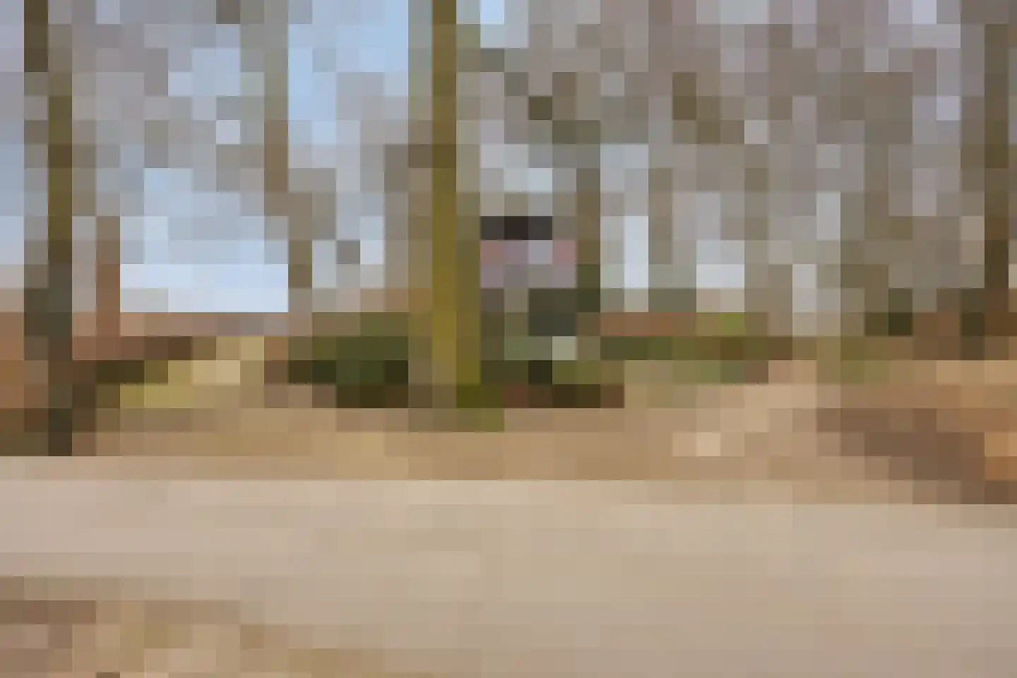 Singel 19 Deventer thumbnail 22