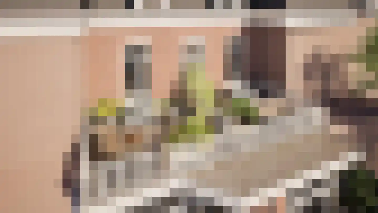 Singel 19 Deventer thumbnail 4