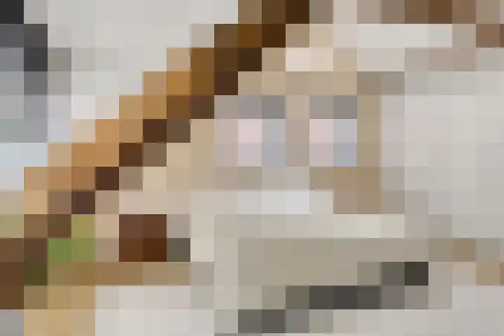 Singel 1940-1945 106 Oss thumbnail 19