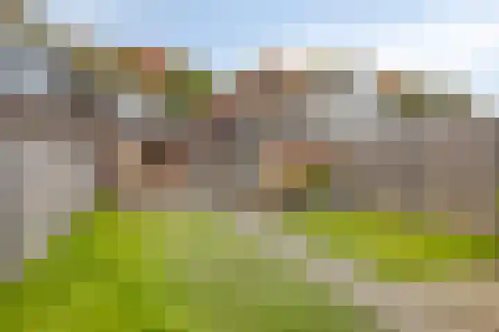 Singel 1940-1945 106 Oss thumbnail 24