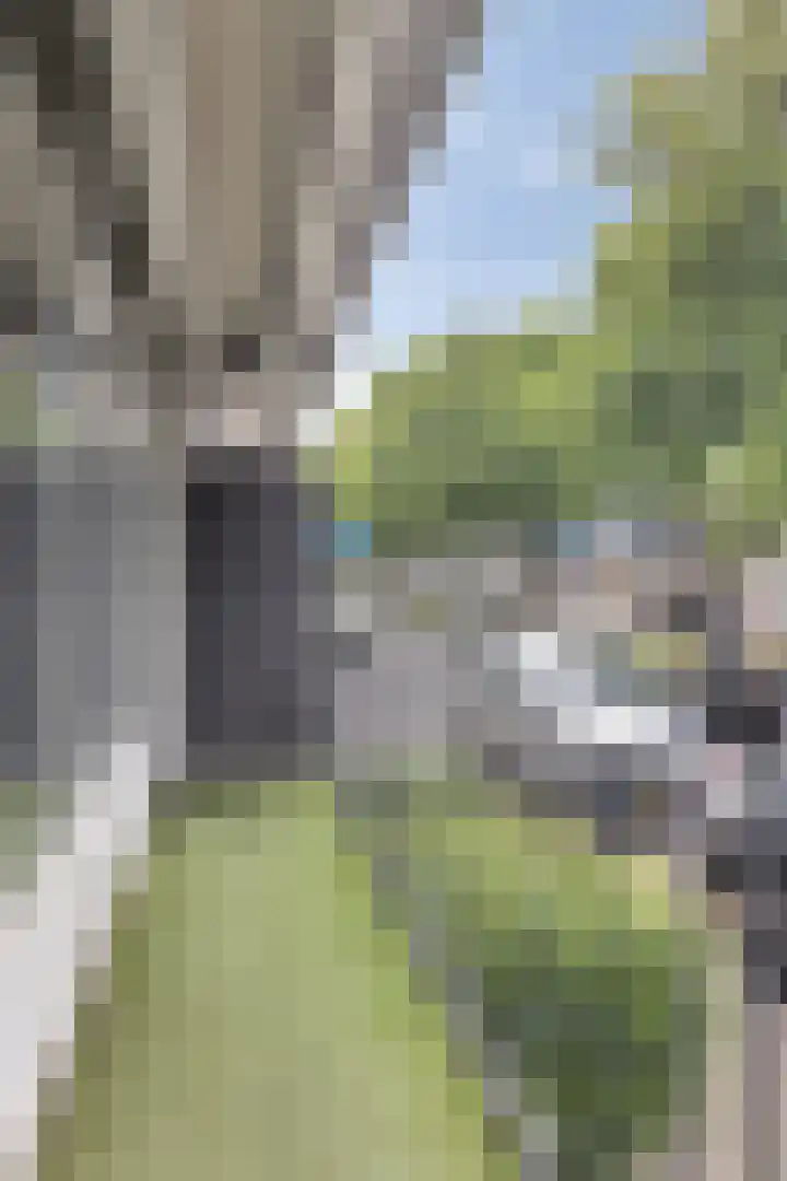 Singel 1940-1945 12 Oss thumbnail 19