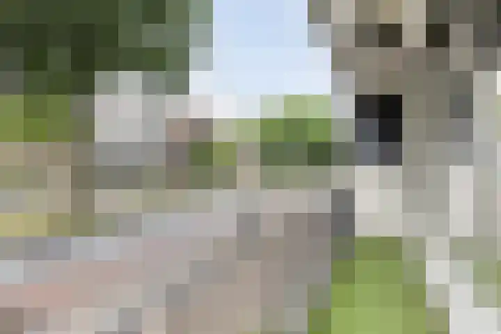 Singel 1940-1945 12 Oss thumbnail 20