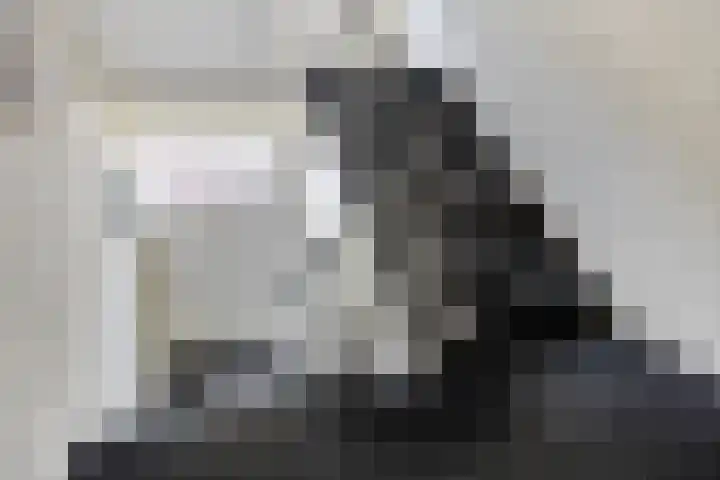 Singel 1940-1945 12 Oss thumbnail 6