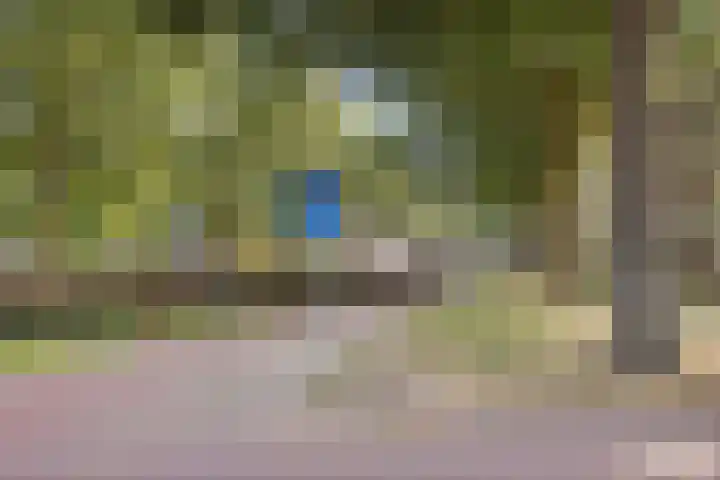 Singel 1940-1945 341 Oss thumbnail 22