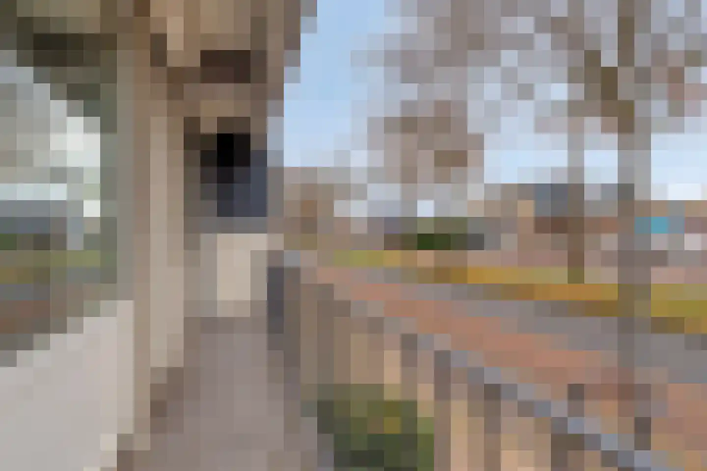 Singel 1940-1945 50 Oss thumbnail 17