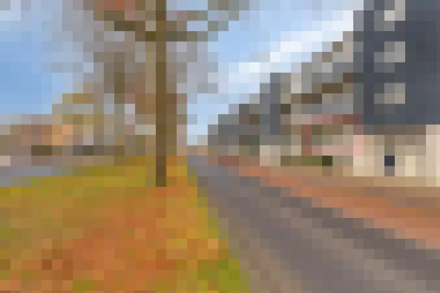 Singel 1940-1945 50 Oss thumbnail 4