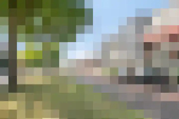 Singel 1940-1945 6 Oss thumbnail 38