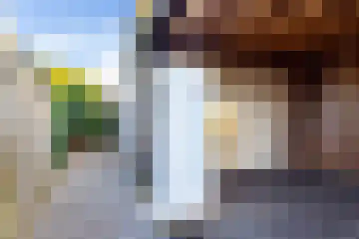 Singel 2 A Garyp thumbnail 40