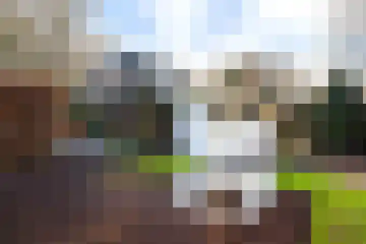 Singel 2 A Garyp thumbnail 46