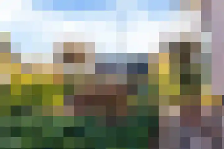 Singel 2 A Garyp thumbnail 48