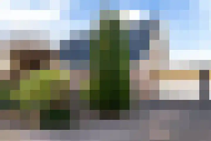 Singel 2 A Garyp thumbnail 53