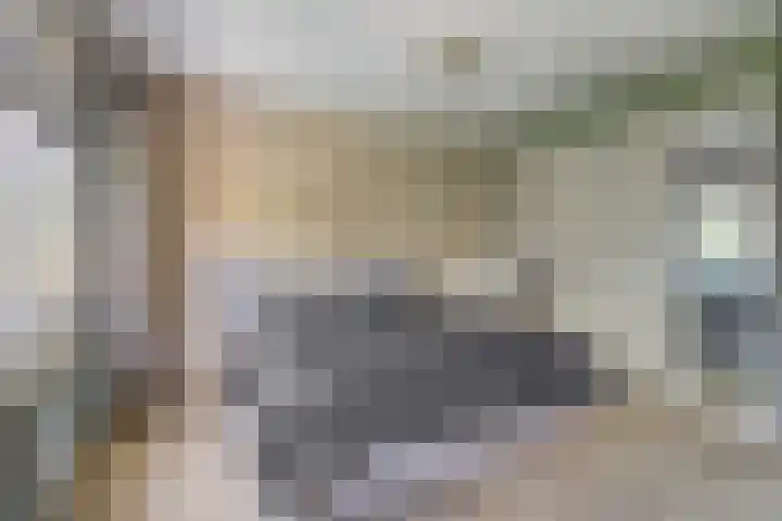 Singel 2 A Garyp thumbnail 8