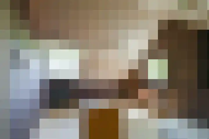 Singel 2 Sluis thumbnail 17