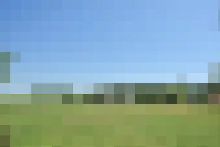 Singel 2 Sluis thumbnail 26