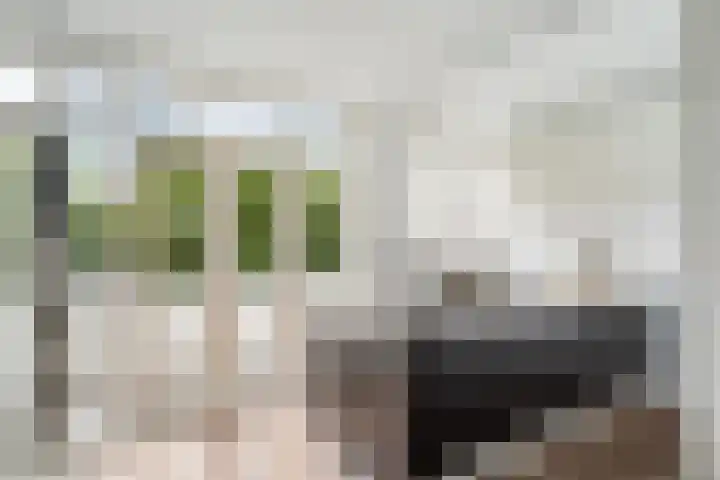 Singel 200 B en Schiedam