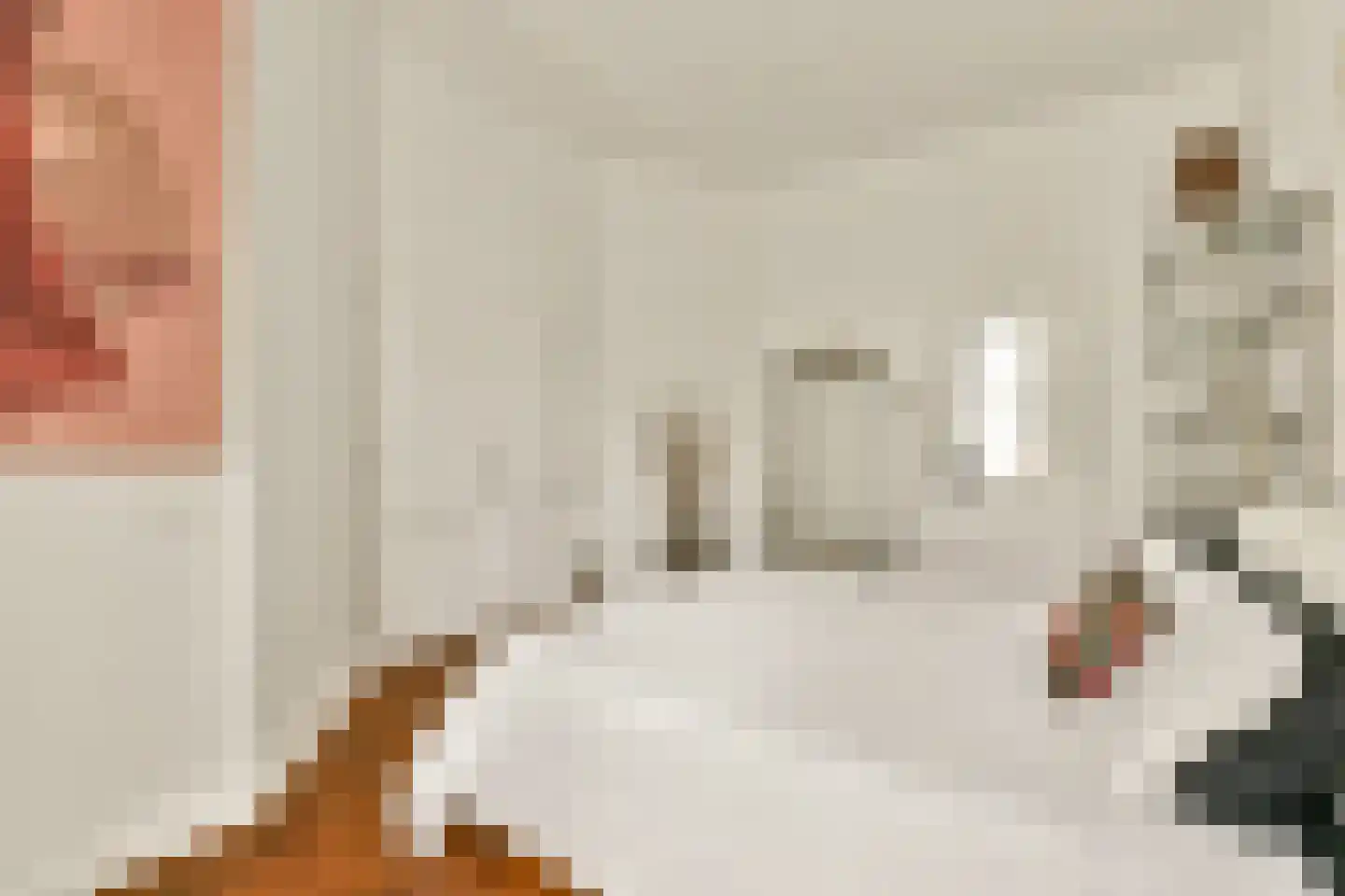 Singel 200 B Amsterdam thumbnail 19
