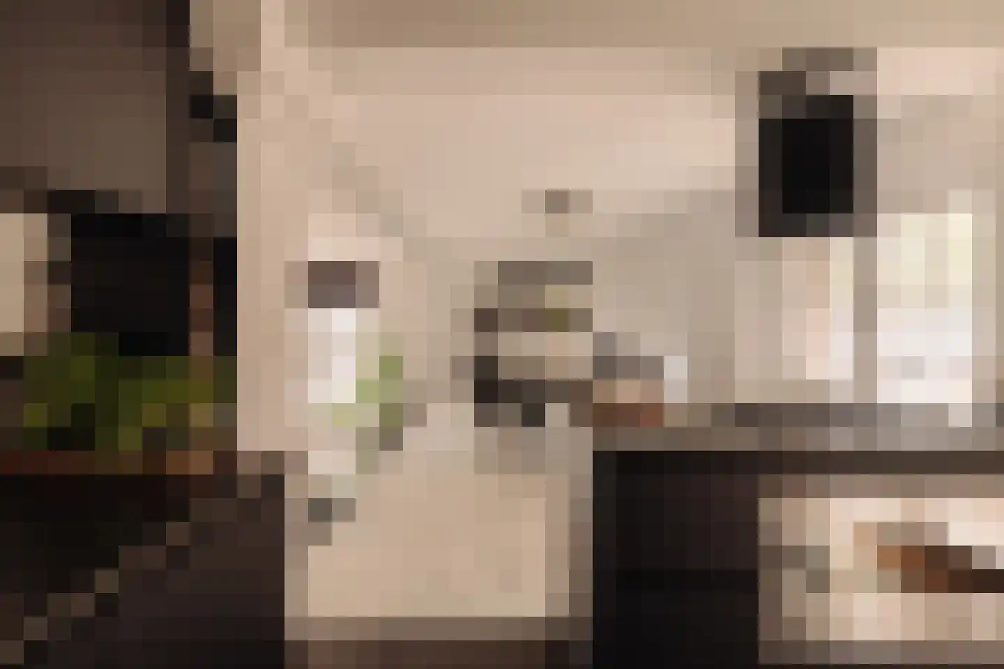 Singel 200 B Amsterdam thumbnail 22