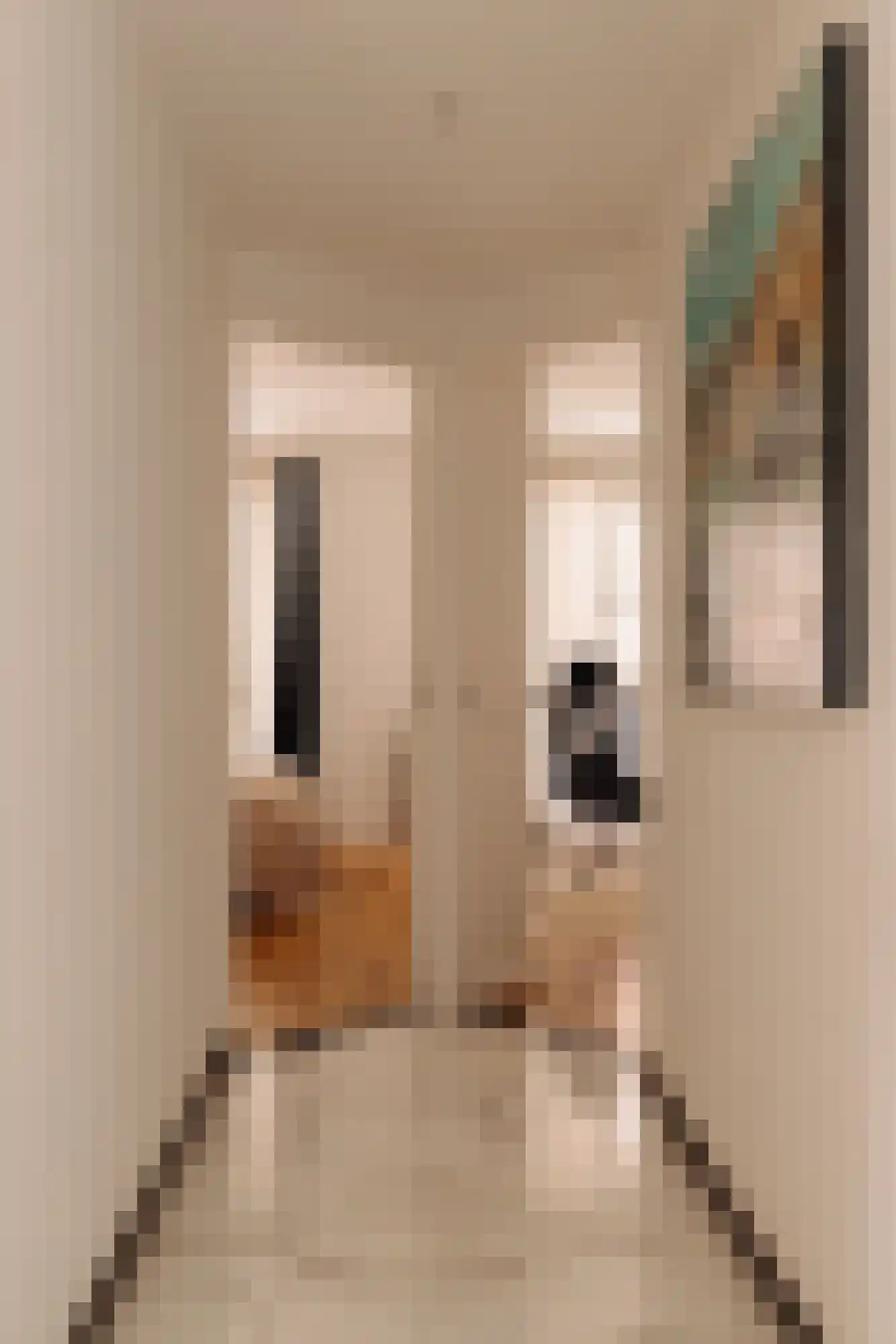 Singel 200 B Amsterdam thumbnail 38