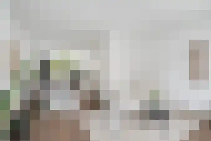 Singel 200 B Schiedam thumbnail 10