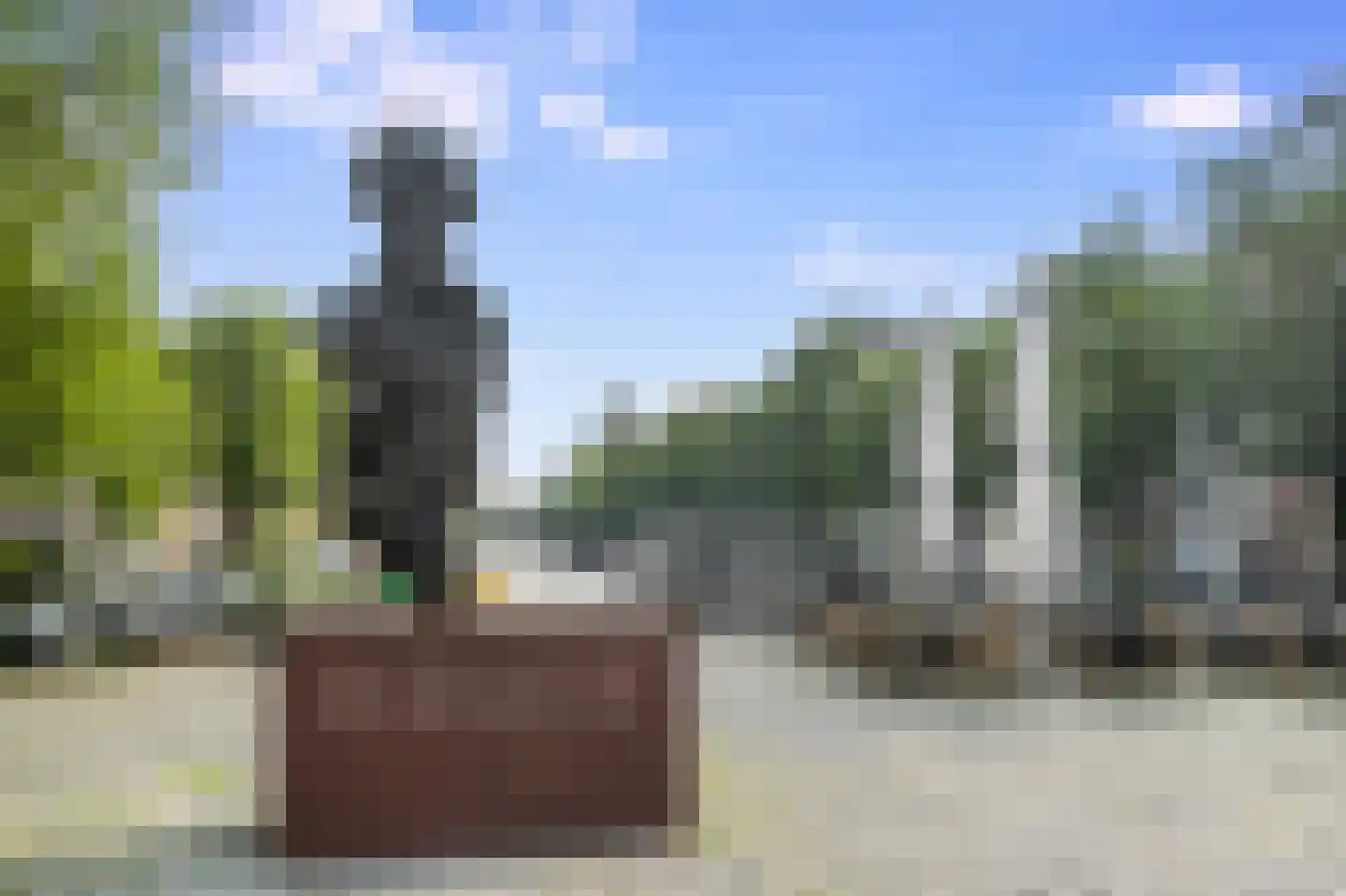 Singel 204 C Amsterdam thumbnail 22